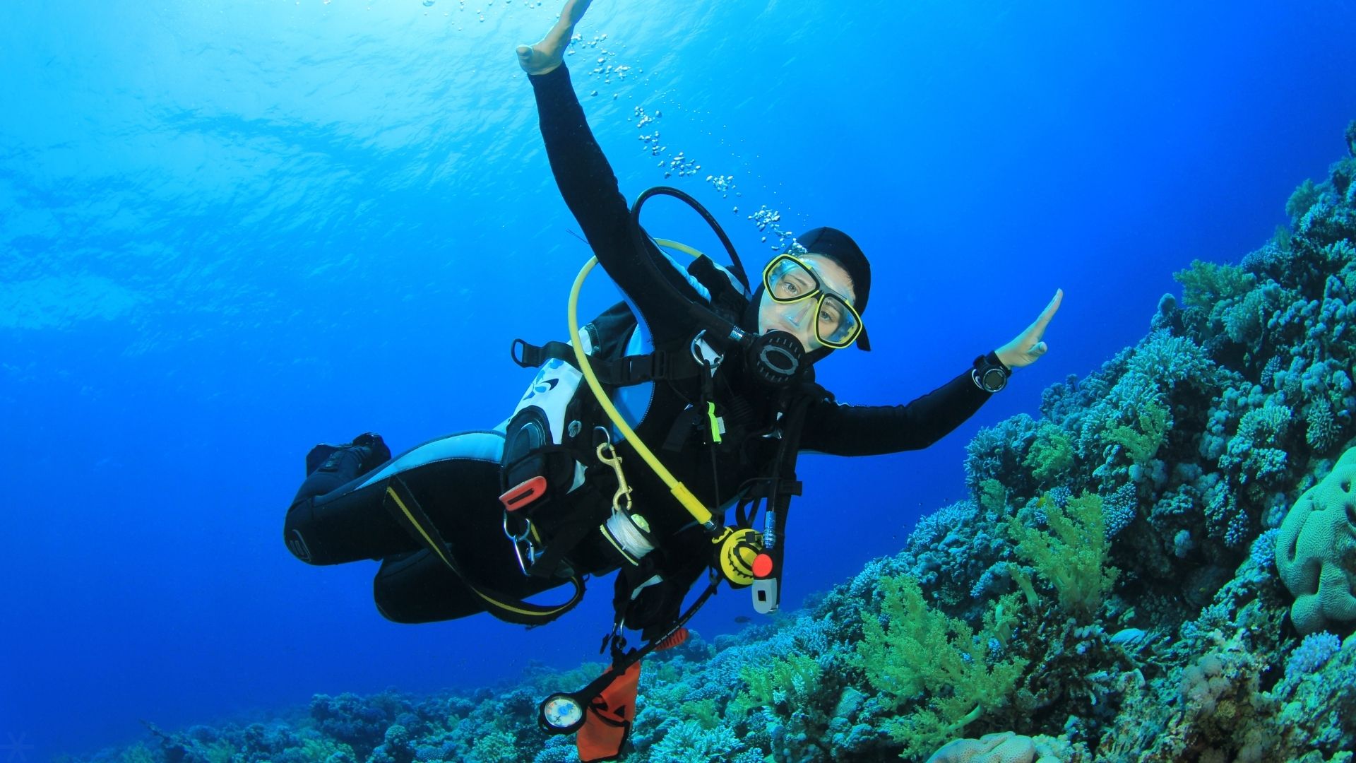 Scuba Diving in Belize