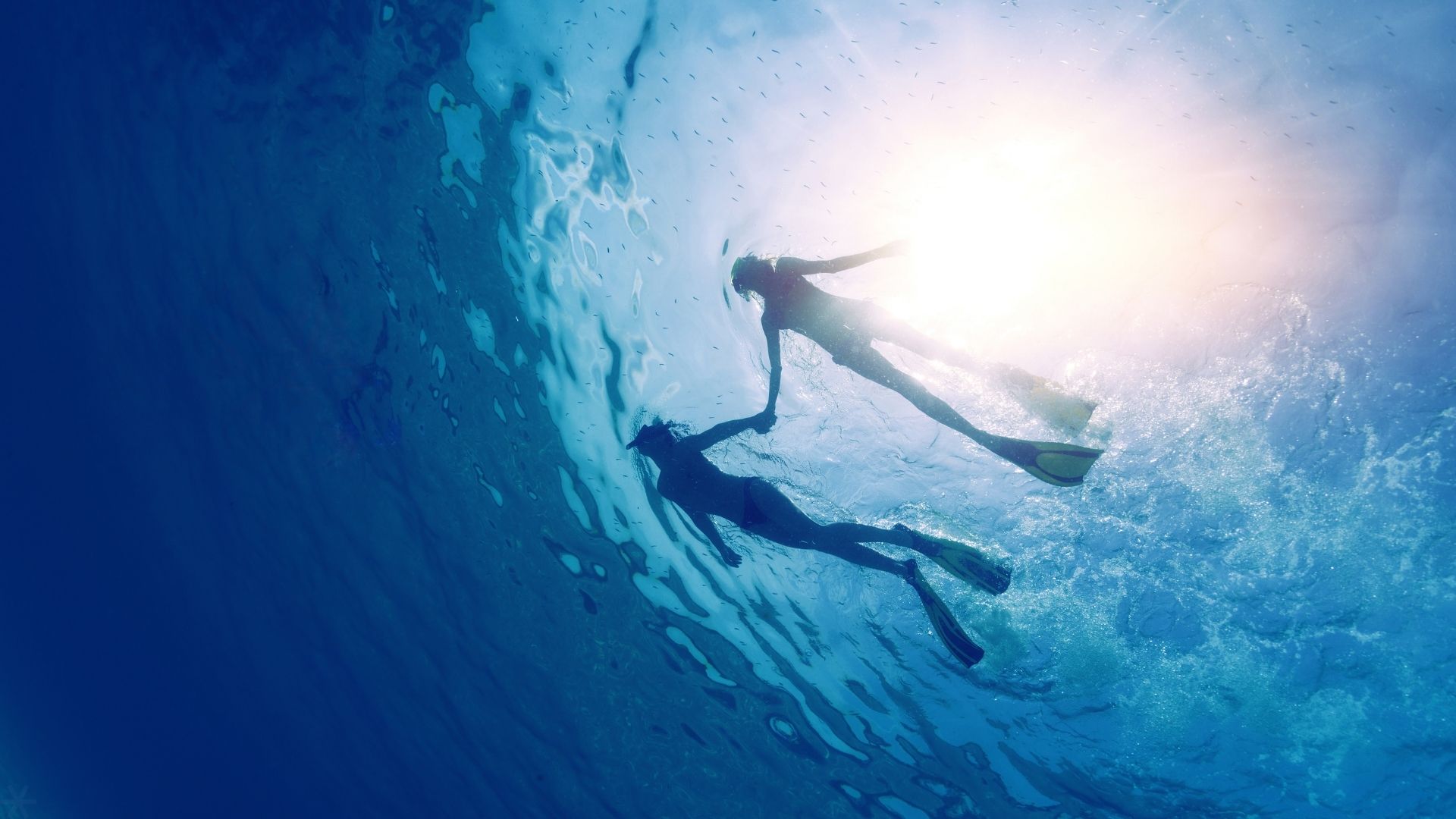 Snorkeling the Belize Barrier Reef