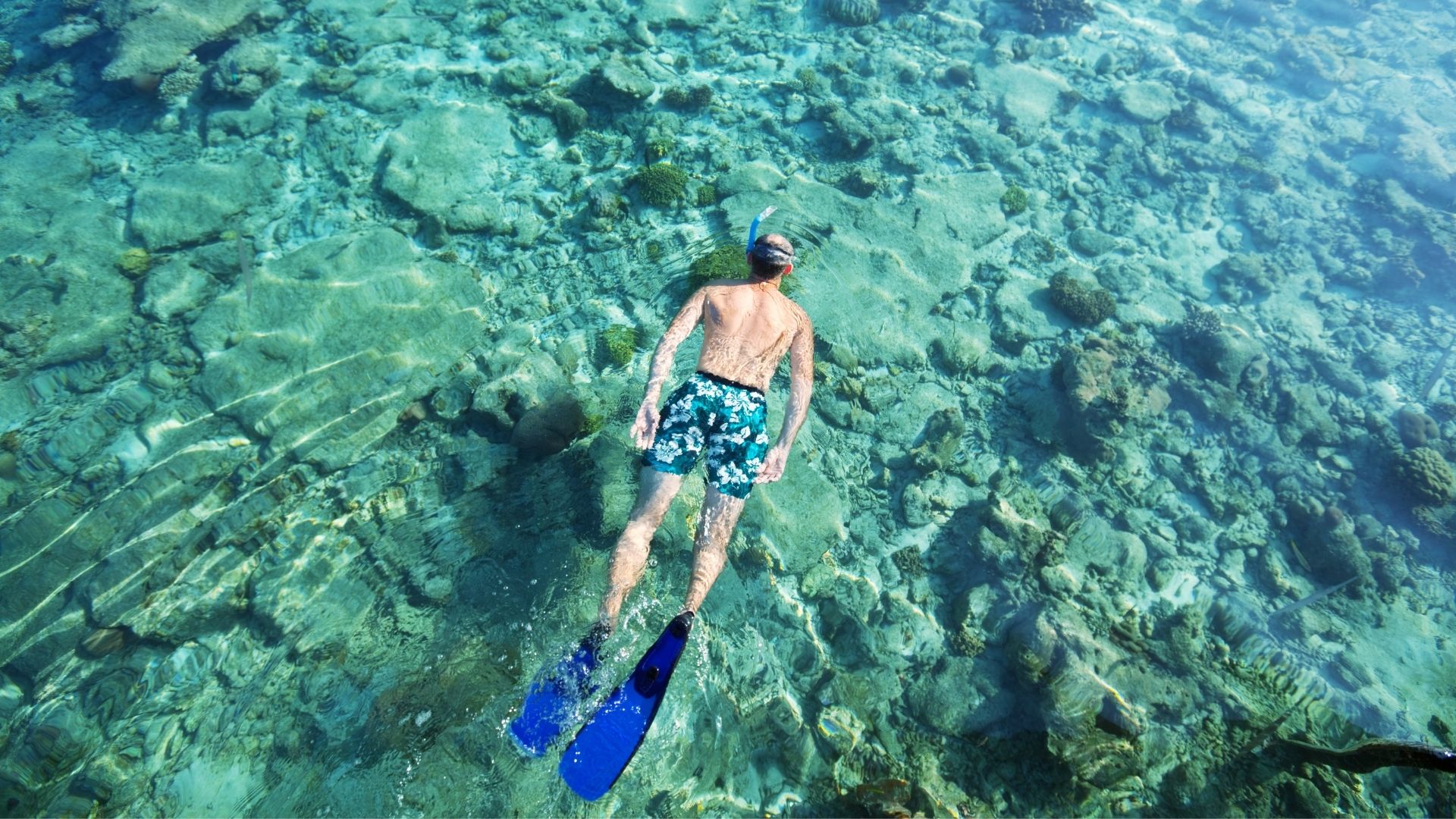 Hol Chan or Mexico Rocks snorkeling