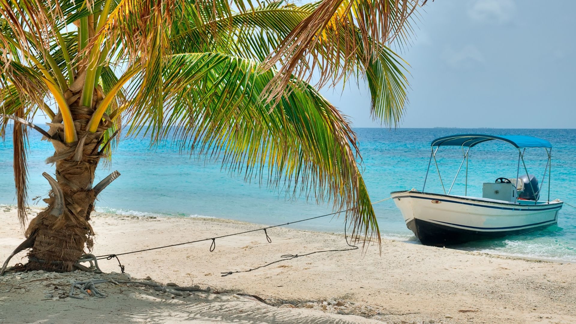 Why Ambergris Caye works so well