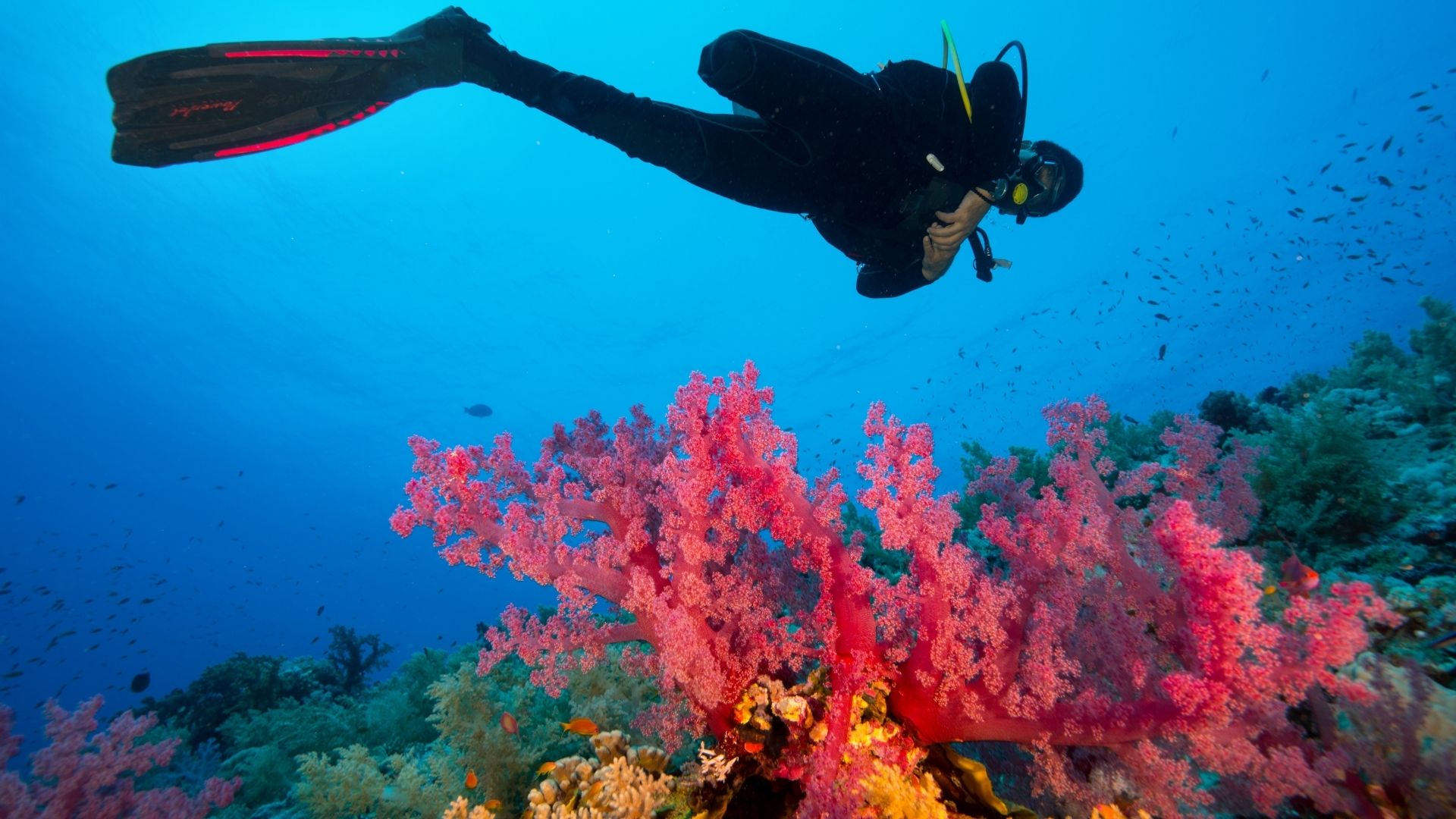 Discover Scuba Diving first dive Belize