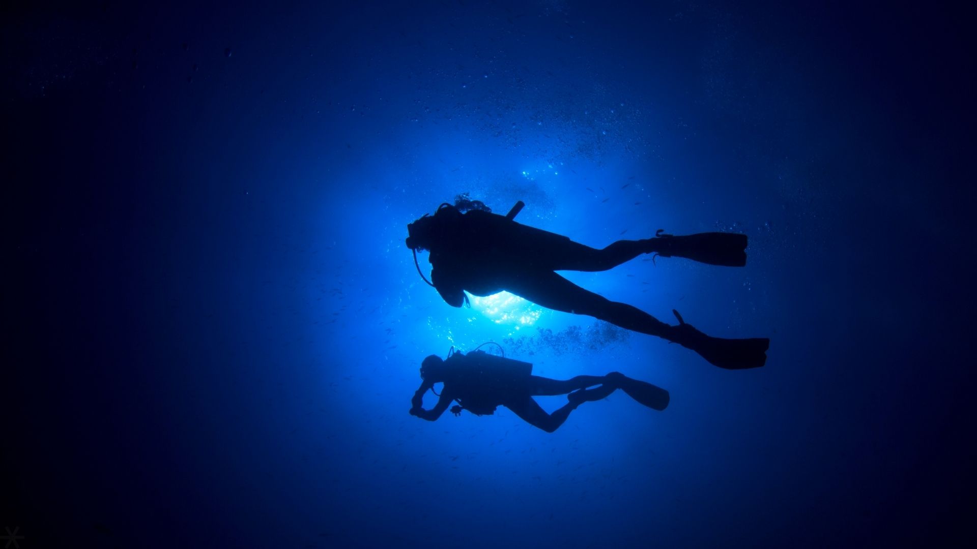 PADI Open Water certification Belize Barrier Reef