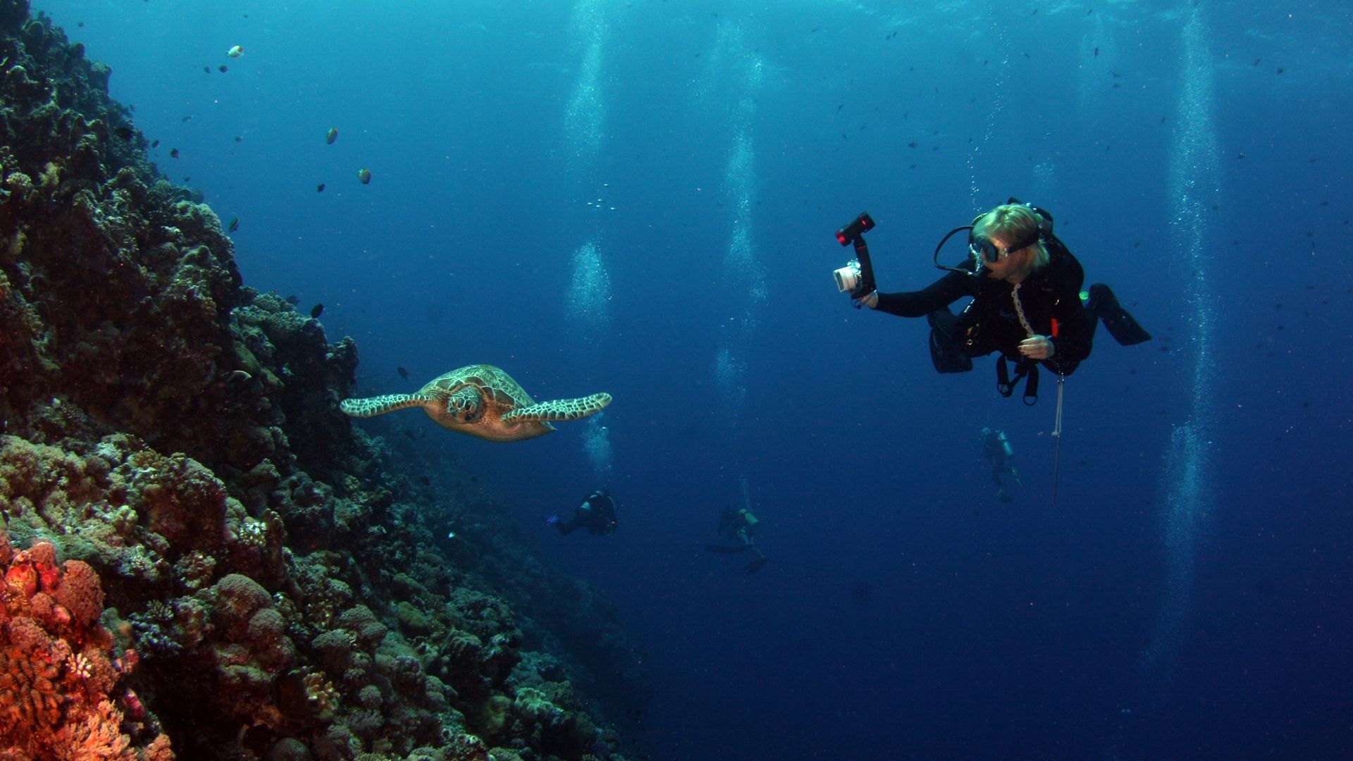Refresher dive course Belize