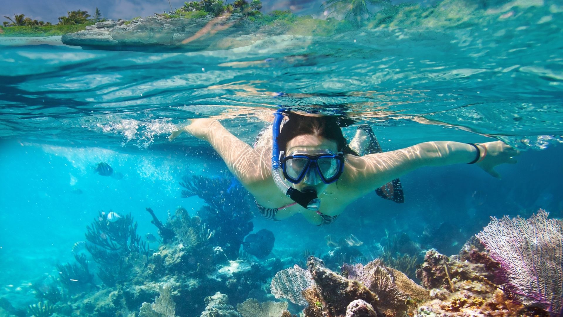 Fish BBQ and snorkel day Belize
