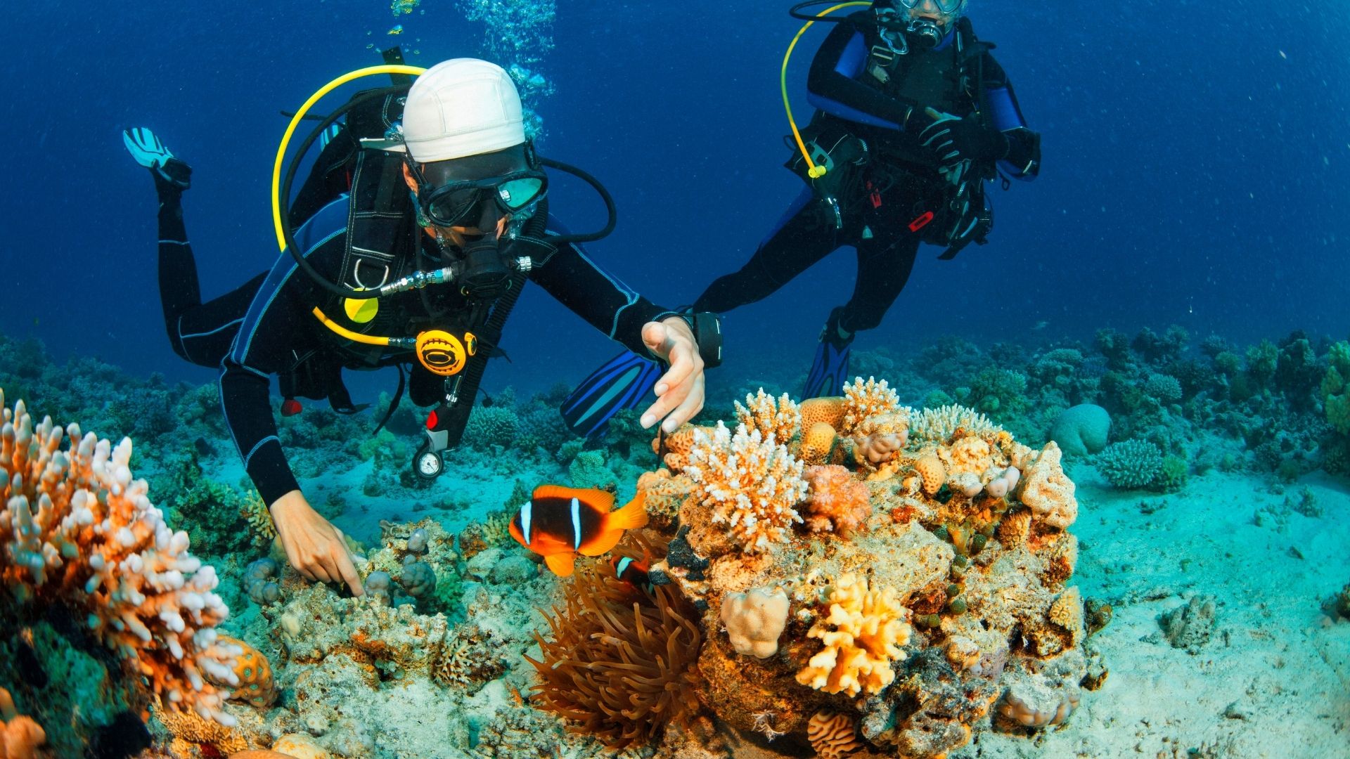 Hol Chan combo scuba and snorkel Belize