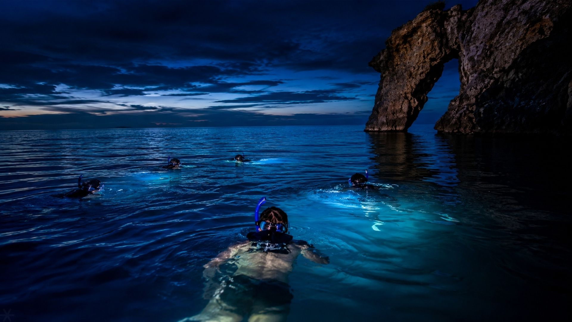 Night snorkel Belize reef